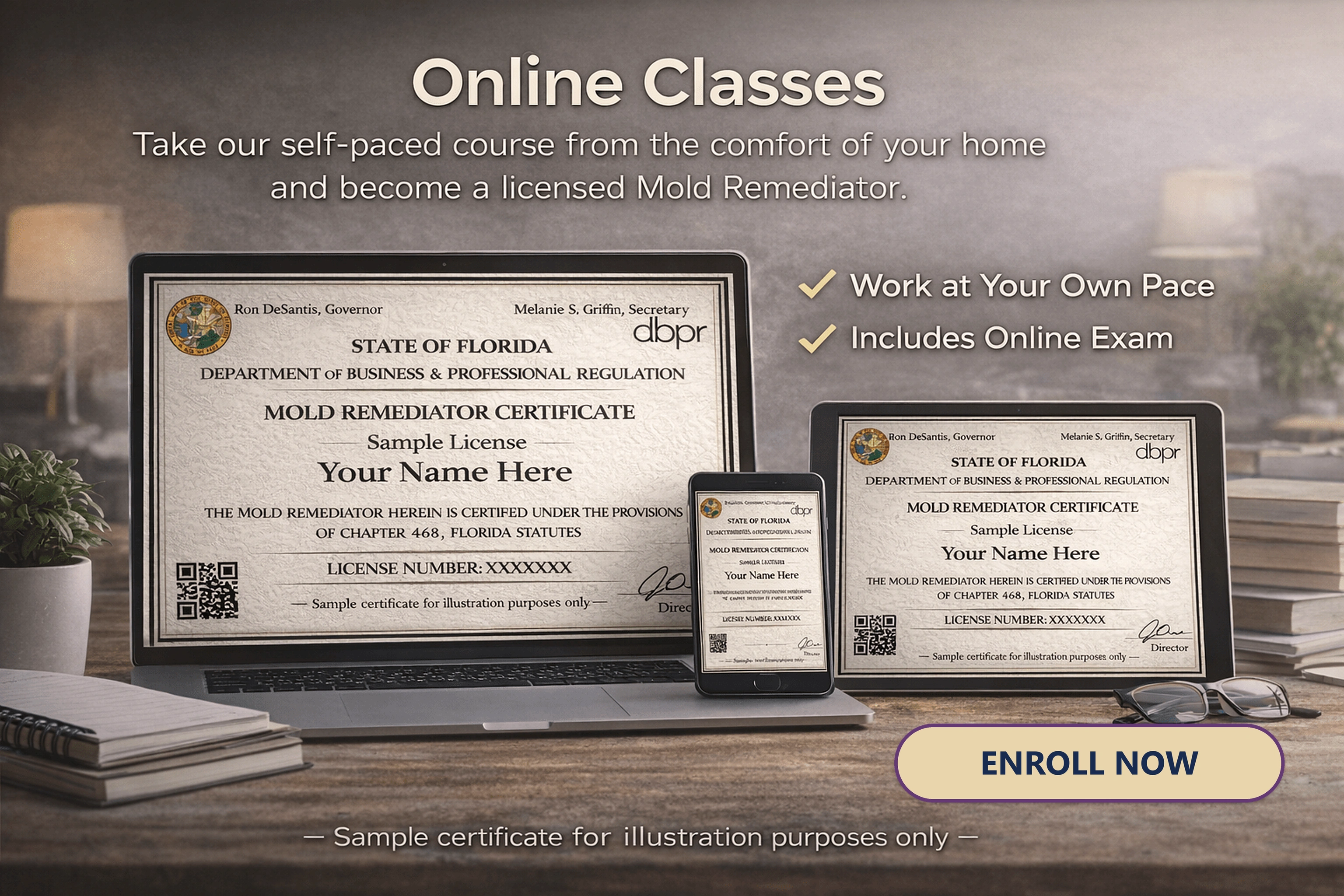 Original online mold remediation course illustration